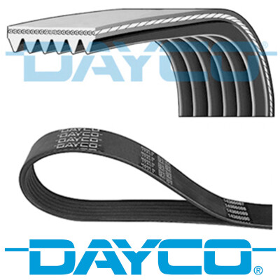 Cinghia trapezoidale scanalata DAYCO 6 PK 800