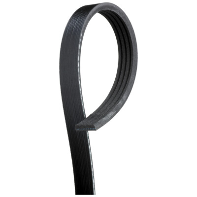Cinghia Poly-V