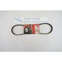 Cinghia Poly-V