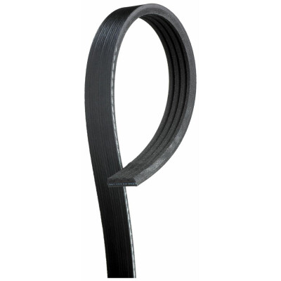 Cinghia Poly-V