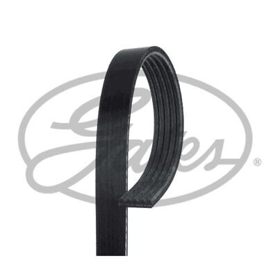 Cinghia Poly-V