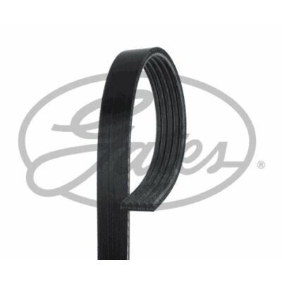 Cinghia Poly-V