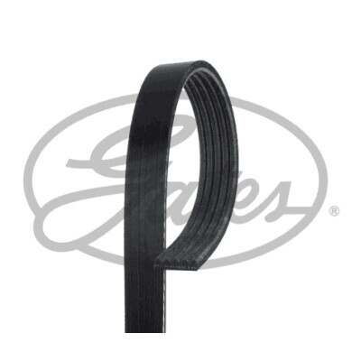 Cinghia Poly-V GATES 5PK493