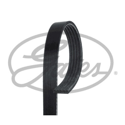 Cinghia Poly-V