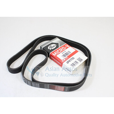 Cinghia Poly-V