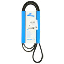 Cinghia trapezoidale scanalata DAYCO 6 PK 1570