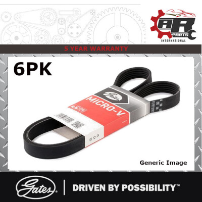 Cinghia Poly-V