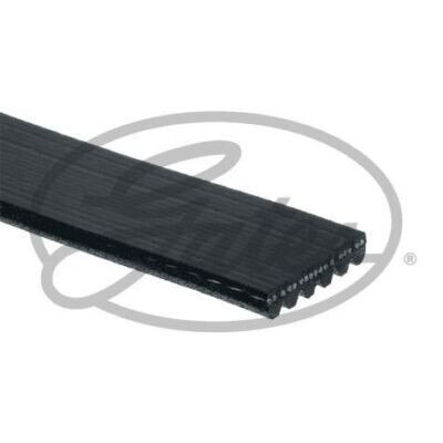 Cinghia Poly-V