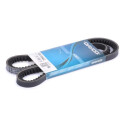 Cinghia trapezoidale DAYCO 13A1040C