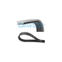 Cinghia trapezoidale scanalata DAYCO 4PK788