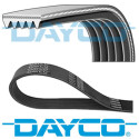 Cinghia trapezoidale scanalata DAYCO 5 PK 1110