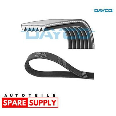 Cinghia trapezoidale scanalata DAYCO 6PK1062