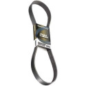 Cinghia trapezoidale scanalata DAYCO 6 PK 1625