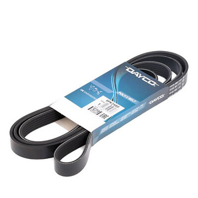 Cinghia trapezoidale scanalata DAYCO 6PK2504