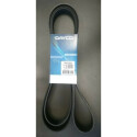 Cinghia trapezoidale scanalata DAYCO 6 PK 2550
