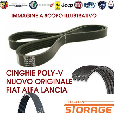 Cinghia trapezoidale scanalata DAYCO 6PK1836S