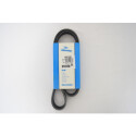 Cinghia trapezoidale scanalata DAYCO 6PK1035S