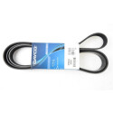Cinghia trapezoidale scanalata DAYCO 6 PK 2245