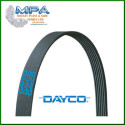 Cinghia trapezoidale scanalata DAYCO 6PK905S