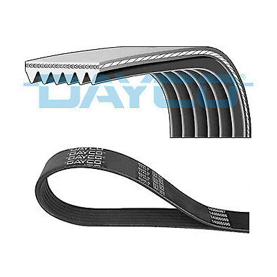 Cinghia trapezoidale scanalata DAYCO 6 PK 955
