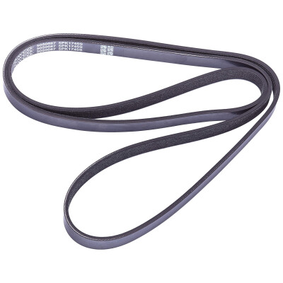 Cinghia trapezoidale scanalata DAYCO 5PK1745S