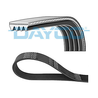 Cinghia trapezoidale scanalata DAYCO 4PK903EE