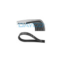 Cinghia trapezoidale scanalata DAYCO 6PK684EE