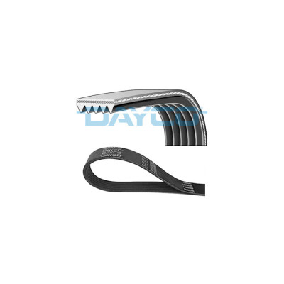 Cinghia trapezoidale scanalata DAYCO 5PK1236EE