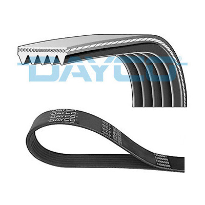 Cinghia trapezoidale scanalata DAYCO 5PK898EE