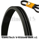 Cinghia Poly-V ContiTech 3 PK 875