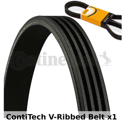 Cinghia Poly-V ContiTech 4 PK 750