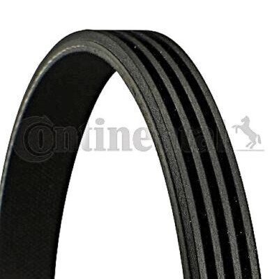 Cinghia trapezoidale trapezoidale ContiTech 4 PK 805