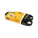 Cinghia trapezoidale Poly-V ContiTech 4PK 815