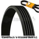 Cinghia Poly-V ContiTech 5 PK 1155