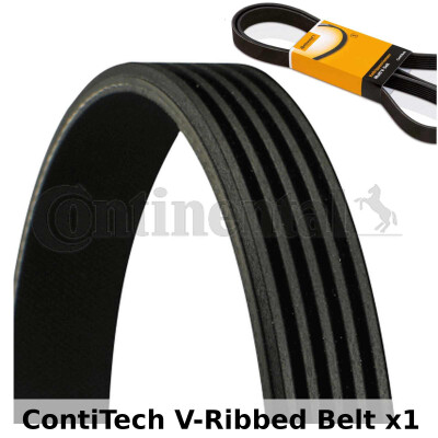 Cinghia Poly-V ContiTech 5 PK 1155