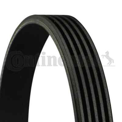 Cinghia trapezoidale Poly-V ContiTech 5 PK 1173