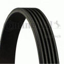 Cinghia trapezoidale scanalata ContiTech 5PK1788