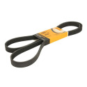 Cinghia trapezoidale trapezoidale ContiTech 6 PK 1880