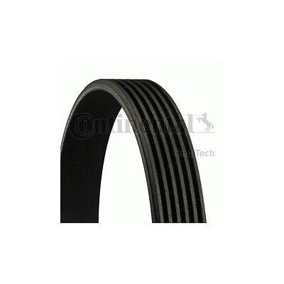 Cinghia trapezoidale scanalata ContiTech 6 PK 1910