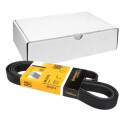 Cinghia trapezoidale trapezoidale ContiTech 6 PK 2215