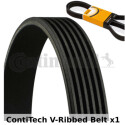 Cinghia trapezoidale Poly-V ContiTech 6PK2310