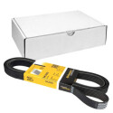 Cinghia Poly-V