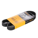 Cinghia trapezoidale Poly-V ContiTech 6PK923