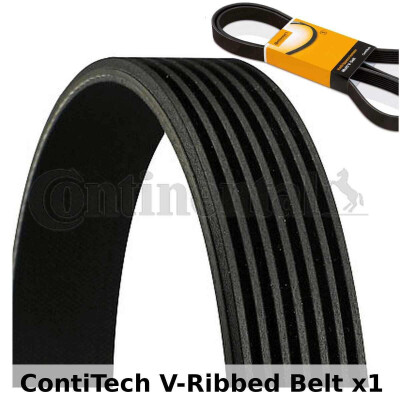 Cinghia trapezoidale trapezoidale ContiTech 7 PK 1093