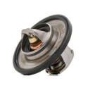 Termostato, Refrigerante CALORSTAT di Vernet TH6045.89J