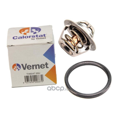 Termostato, Refrigerante CALORSTAT di Vernet TH6047.89J