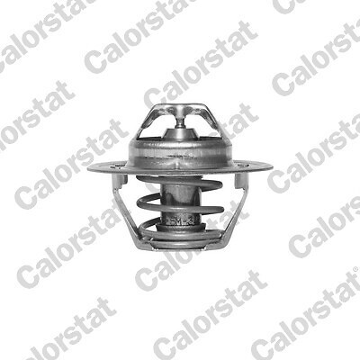 Termostato, Refrigerante CALORSTAT di Vernet TH1378.88J