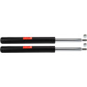 Set ammortizzatori TRW JGC105T