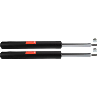 Set di (2) ammortizzatori TRW JGC105T