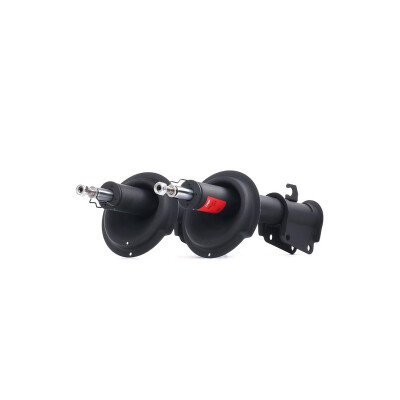 Set di (2) ammortizzatori TRW JGM107T
